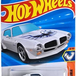'73 Pontiac Firebird
